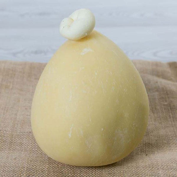 Caciocavallo Procacci